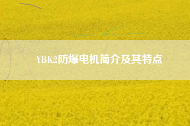YBK2防爆電機(jī)簡介及其特點(diǎn)