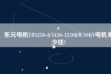 東元電機(jī)YR1250-8/1430-1250KW/10KV電機(jī)多少錢?