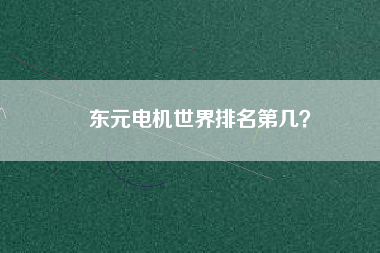 東元電機(jī)世界排名第幾？