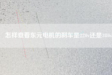 怎樣查看東元電機的剎車是220v還是380v