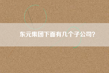 東元集團下面有幾個子公司？