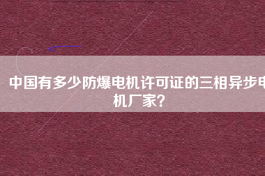 中國(guó)有多少防爆電機(jī)許可證的三相異步電機(jī)廠家？