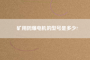 礦用防爆電機(jī)的型號(hào)是多少?