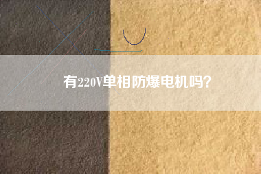 有220V單相防爆電機(jī)嗎？