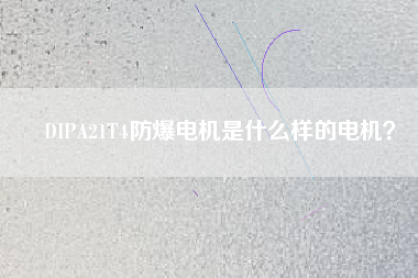 DIPA21T4防爆電機是什么樣的電機？
