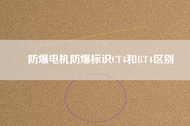 防爆電機防爆標識CT4和BT4區(qū)別