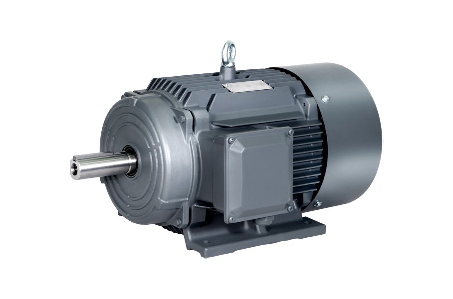 1TL0004鑄鐵系列二級能效低壓三相異步電動機(jī)